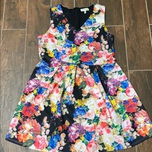 Flora fit and flare scuba dress